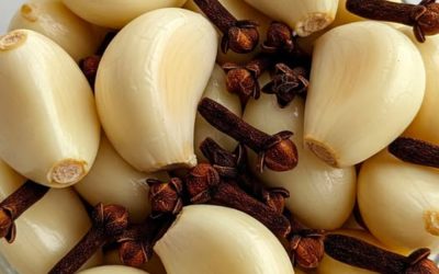 Ail et clous de girofle : deux trésors pour la santé