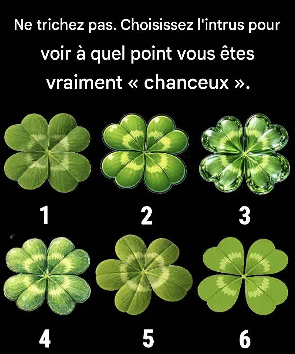 Ne trichez pas. Choisissez l’intrus pour voir à quel point vous êtes vraiment « chanceux ».