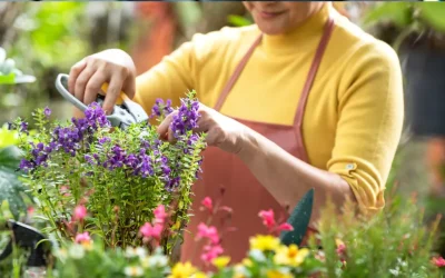 10 fleurs porte-bonheur à planter dans votre jardin pour attirer la chance