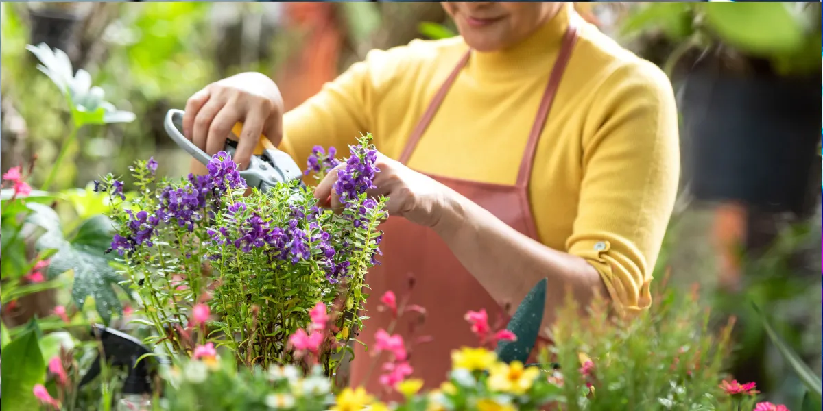 10 fleurs porte-bonheur à planter dans votre jardin pour attirer la chance