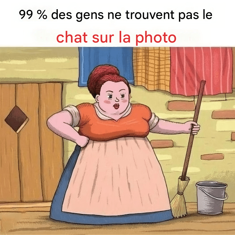 99 % des gens ne trouvent pas le chat sur la photo