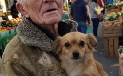 J’ai acheté de la nourriture pour un vieil homme pauvre et son chien — ce que j’ai trouvé à ma porte le lendemain matin m’a glacé le sang.