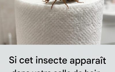 Si cet insecte apparaît dans votre salle de bain, cela signifie que vous êtes…