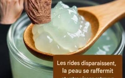 Les rides disparaissent, la peau se raffermit et votre visage retrouve sa jeunesse ! Pour continuer à recevoir mes recettes, dites simplement… Merci !