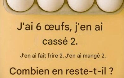 Comment l’énigme des « six œufs » nous enseigne une leçon simple de réflexion approfondie