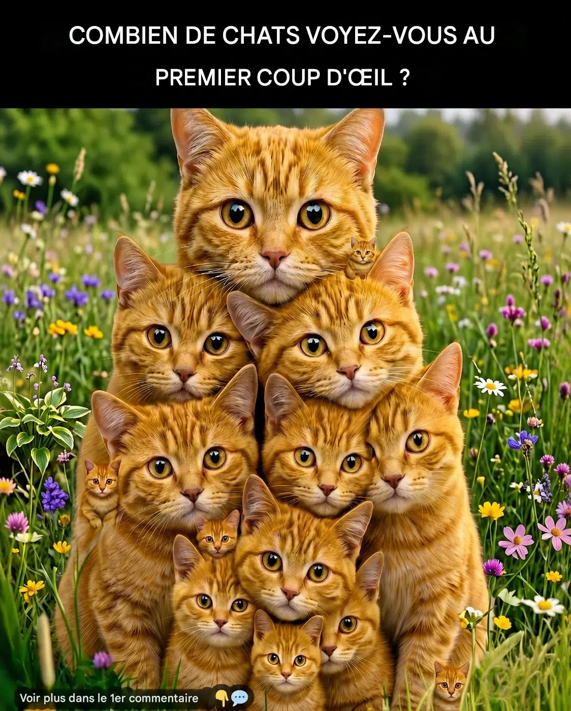 Découvrez votre personnalité en fonction du nombre de chats que vous pouvez repérer.