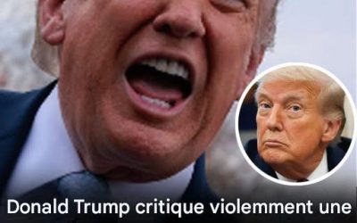 Donald Trump critique…